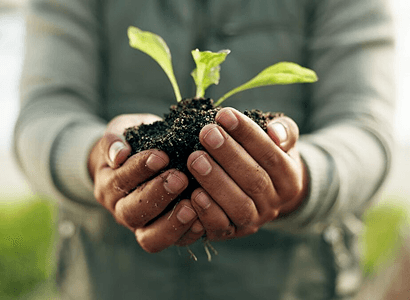 Organic farm challenges and how to beat easily